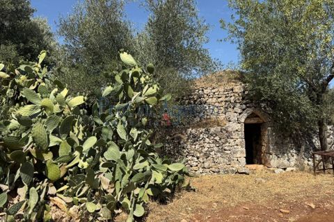 Farm hus i Ostuni, Brindisi, Ostuni - € 85.000 | Ref: 172956 - foto 8